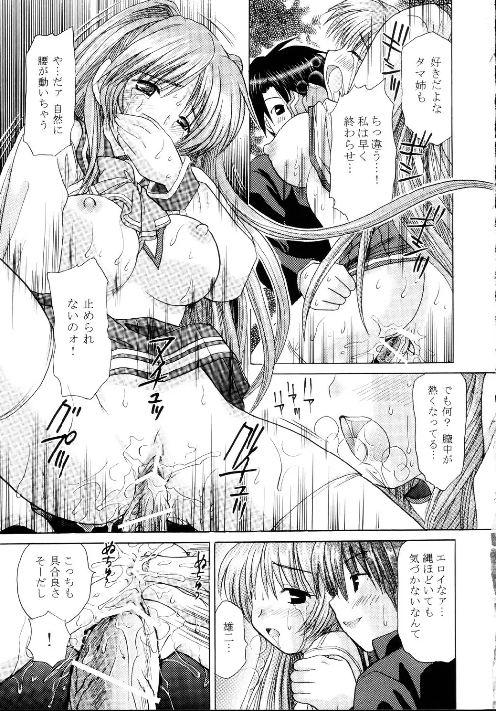 To Heart2 絶対絶命 タマ姉陵辱編 - page17