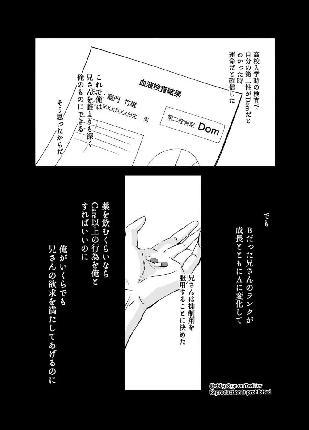 竹炭玉簾① - page8