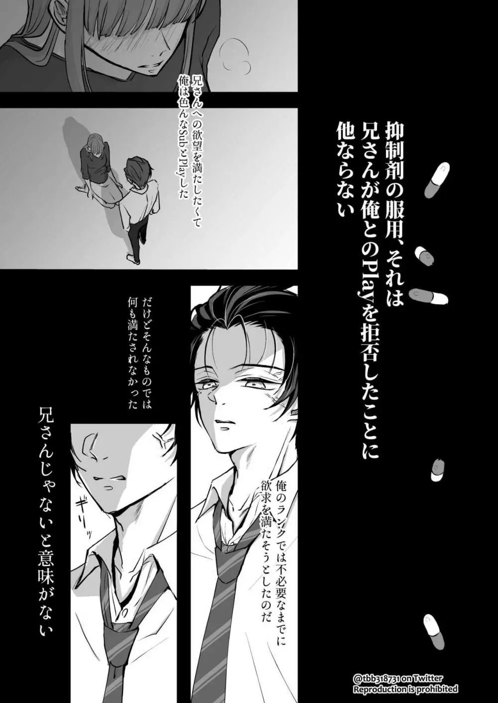 竹炭玉簾① - page9