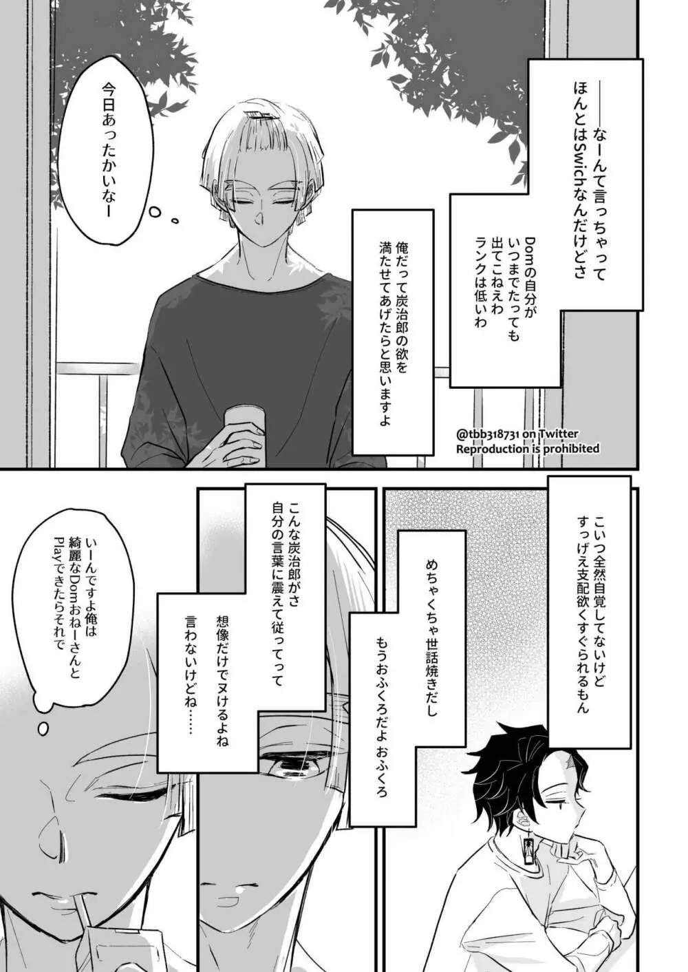 竹炭玉簾③ - page8