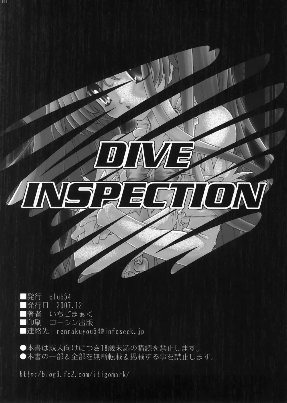 DIVE INSPECTION - page53