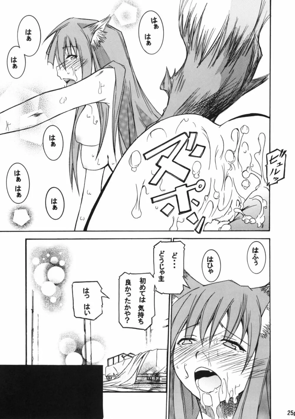 香辛料を狼にⅠ - page26