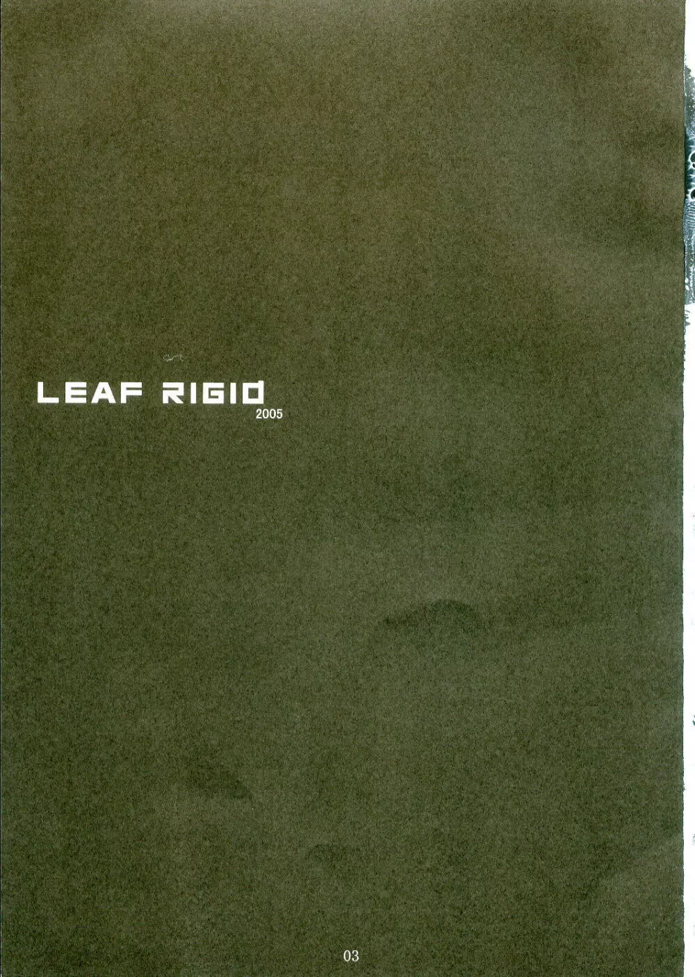 LEAF RIGID - page2