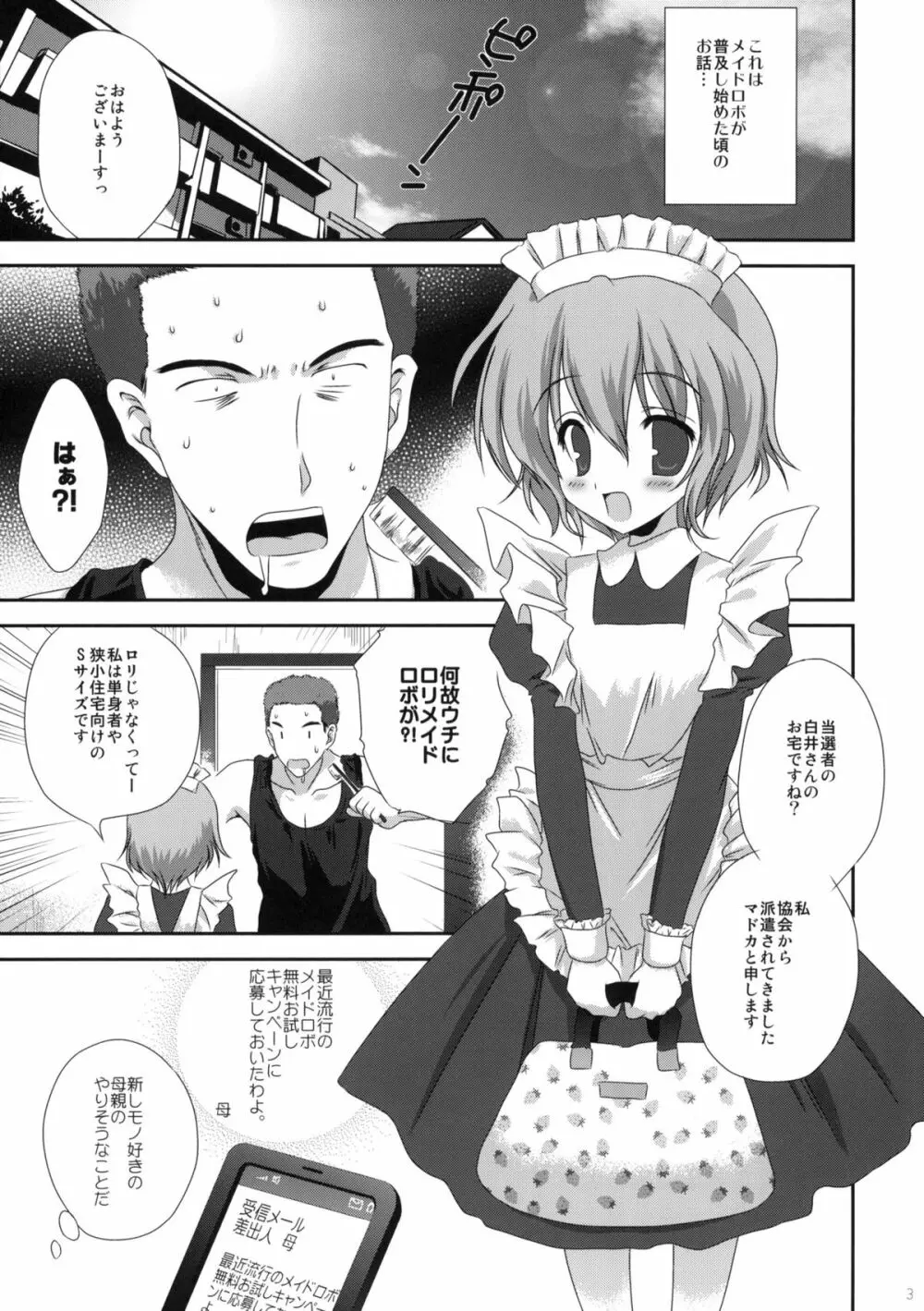 俺の家に日曜の朝っぱらからメイドロボがやってきた - page2