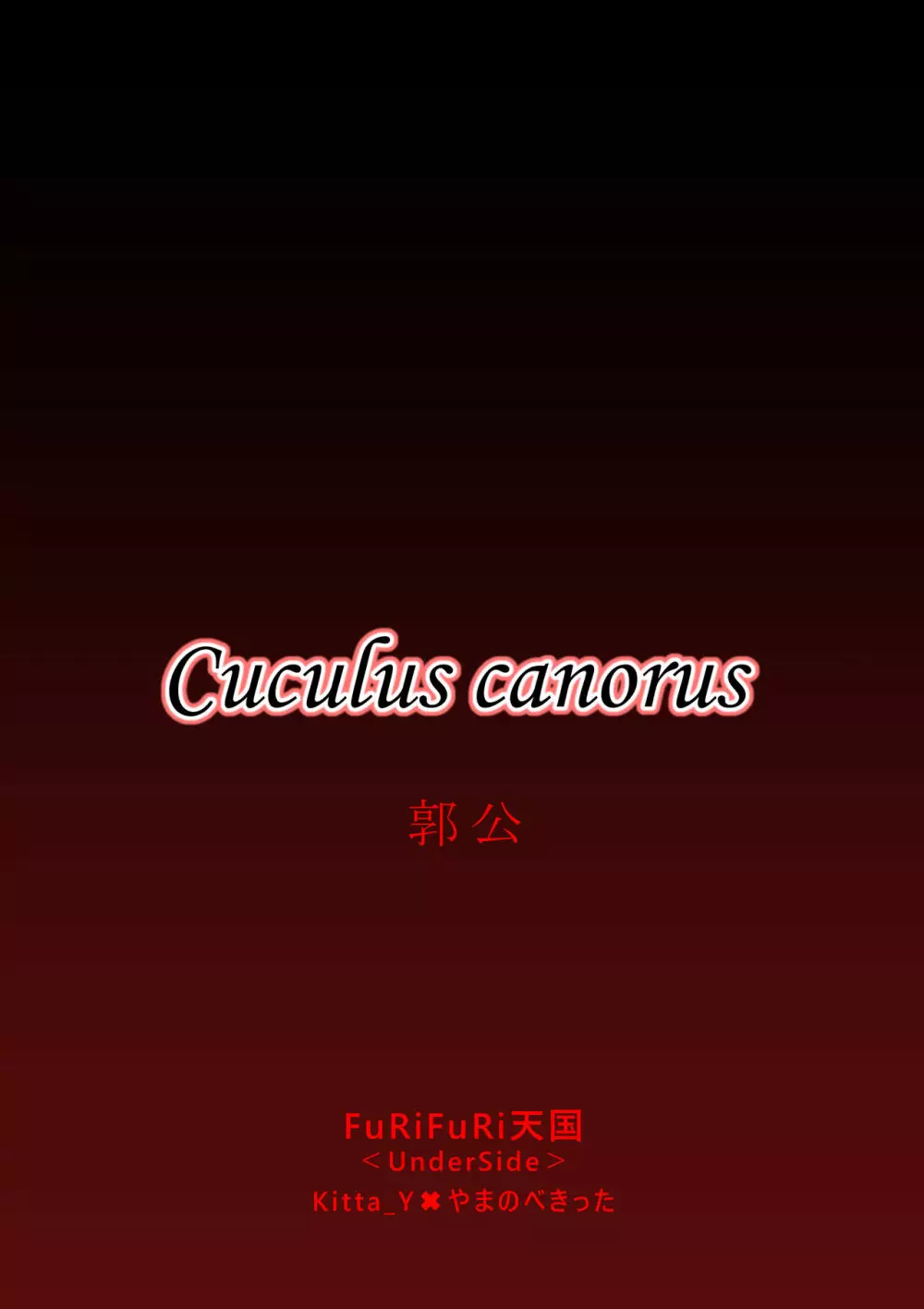 Cuculus canorus - page33