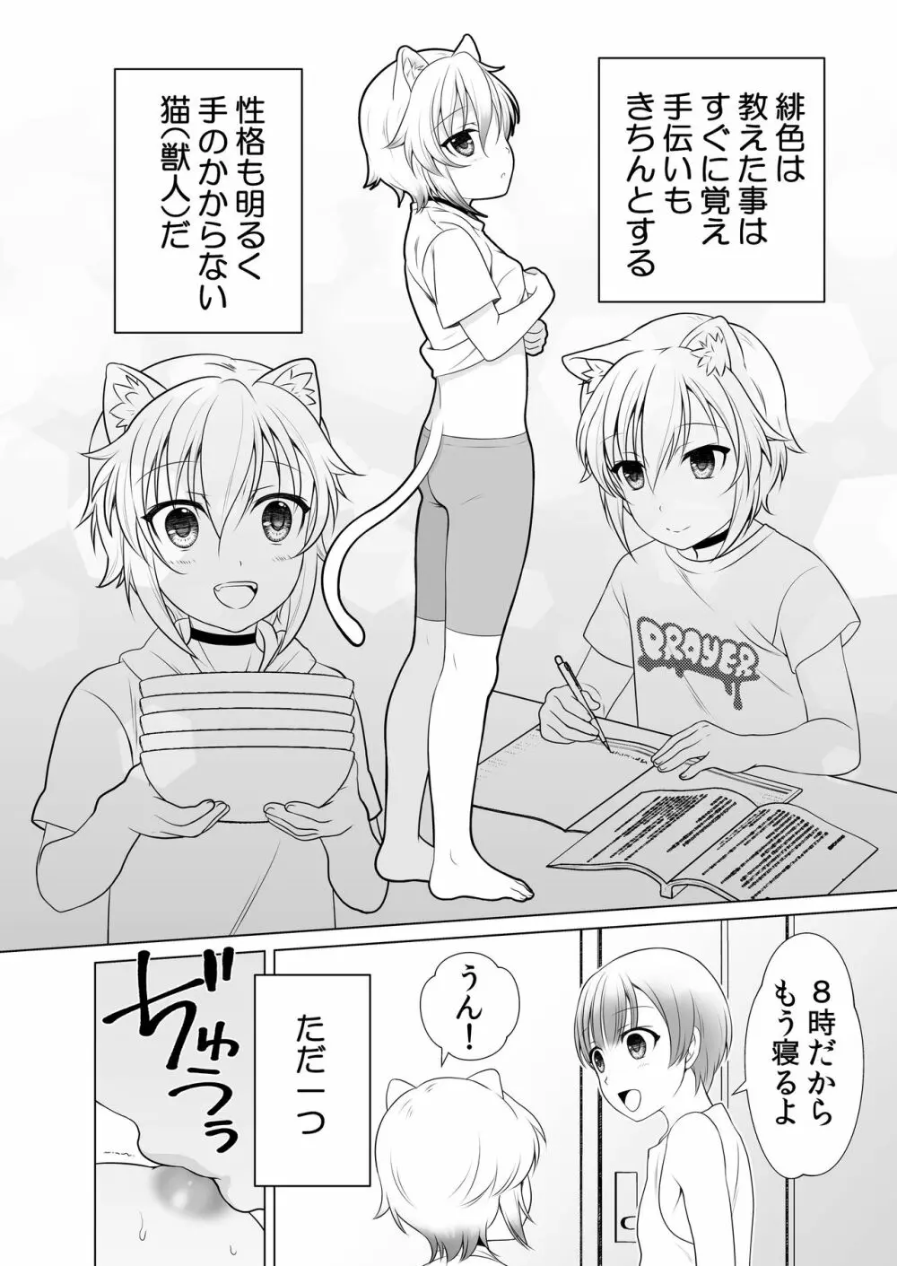 好みのノラ愛玩獣人におどされてます - page27