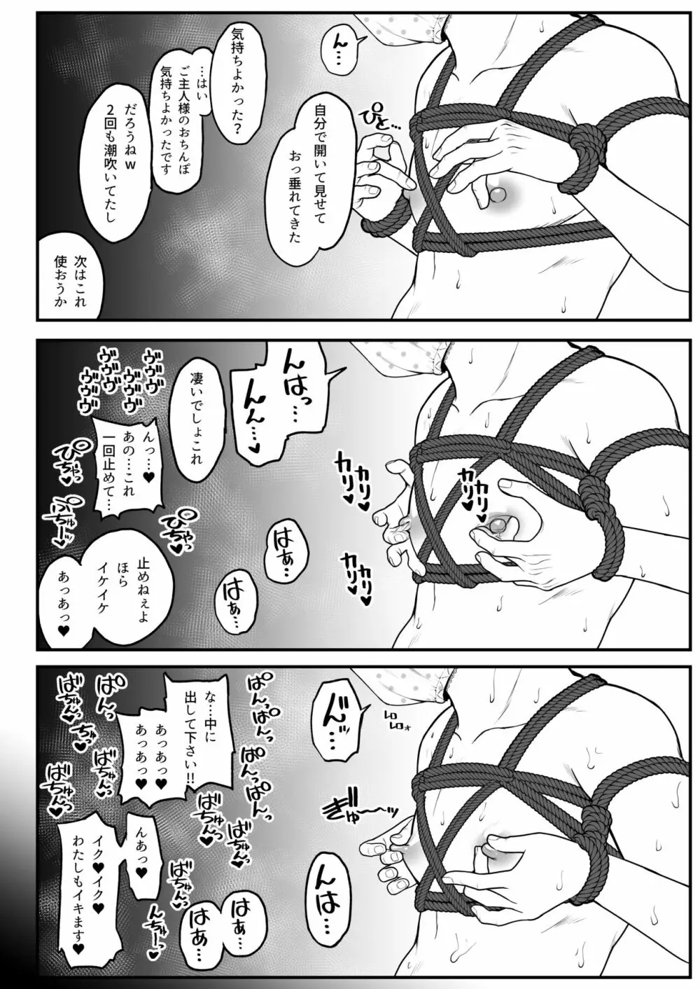 僕と彼女とご主人様の冬休み 2 - page12