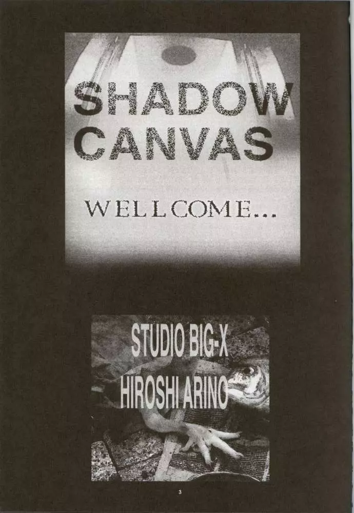 Shadow Canvas 13 - page2