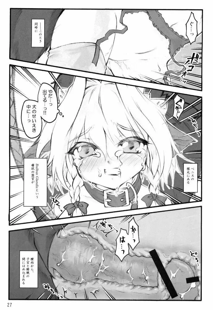 少女妊娠 犬咲夜 - page3