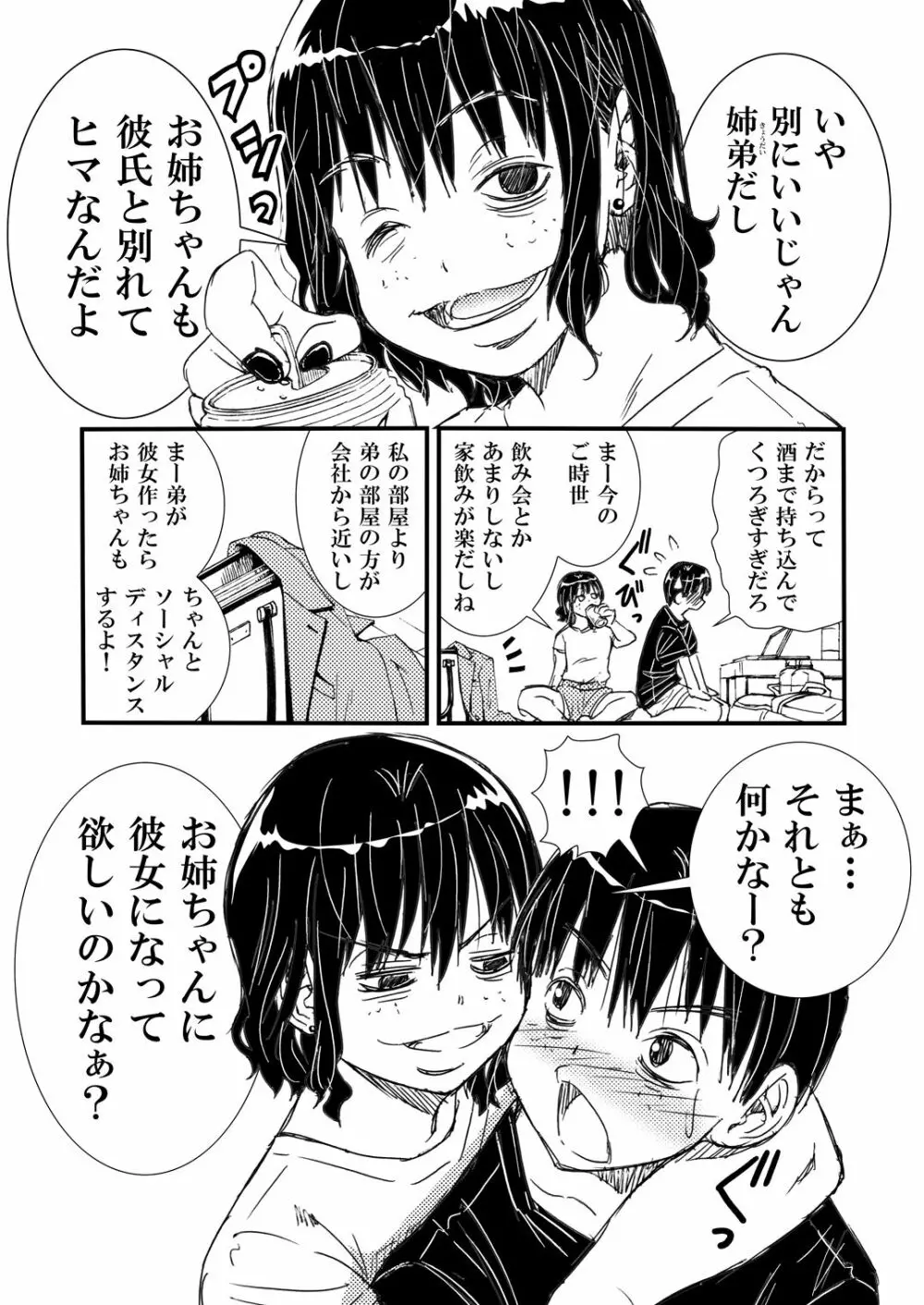 ノーメイク部屋着の姉弟といいカンジになってHした話。 - page4