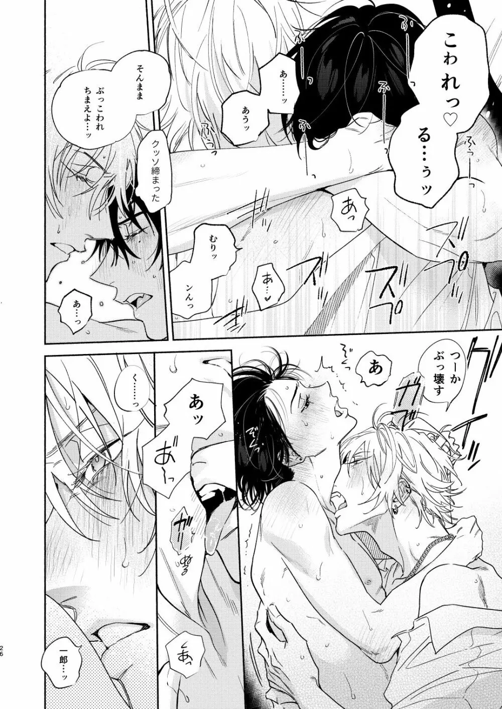 イチャラブカーセックスブック - page23