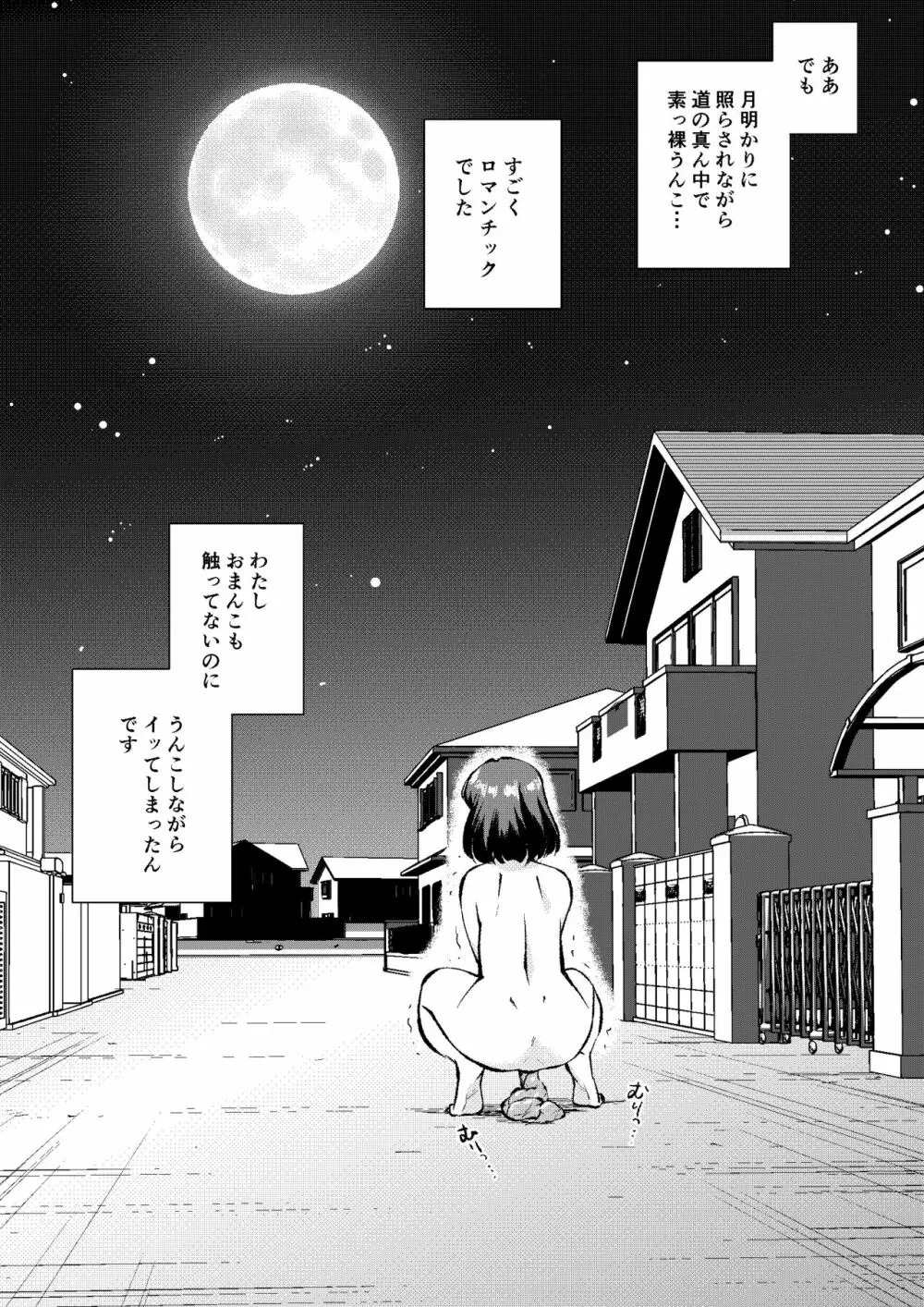 あこがれの路上うんこ - page26