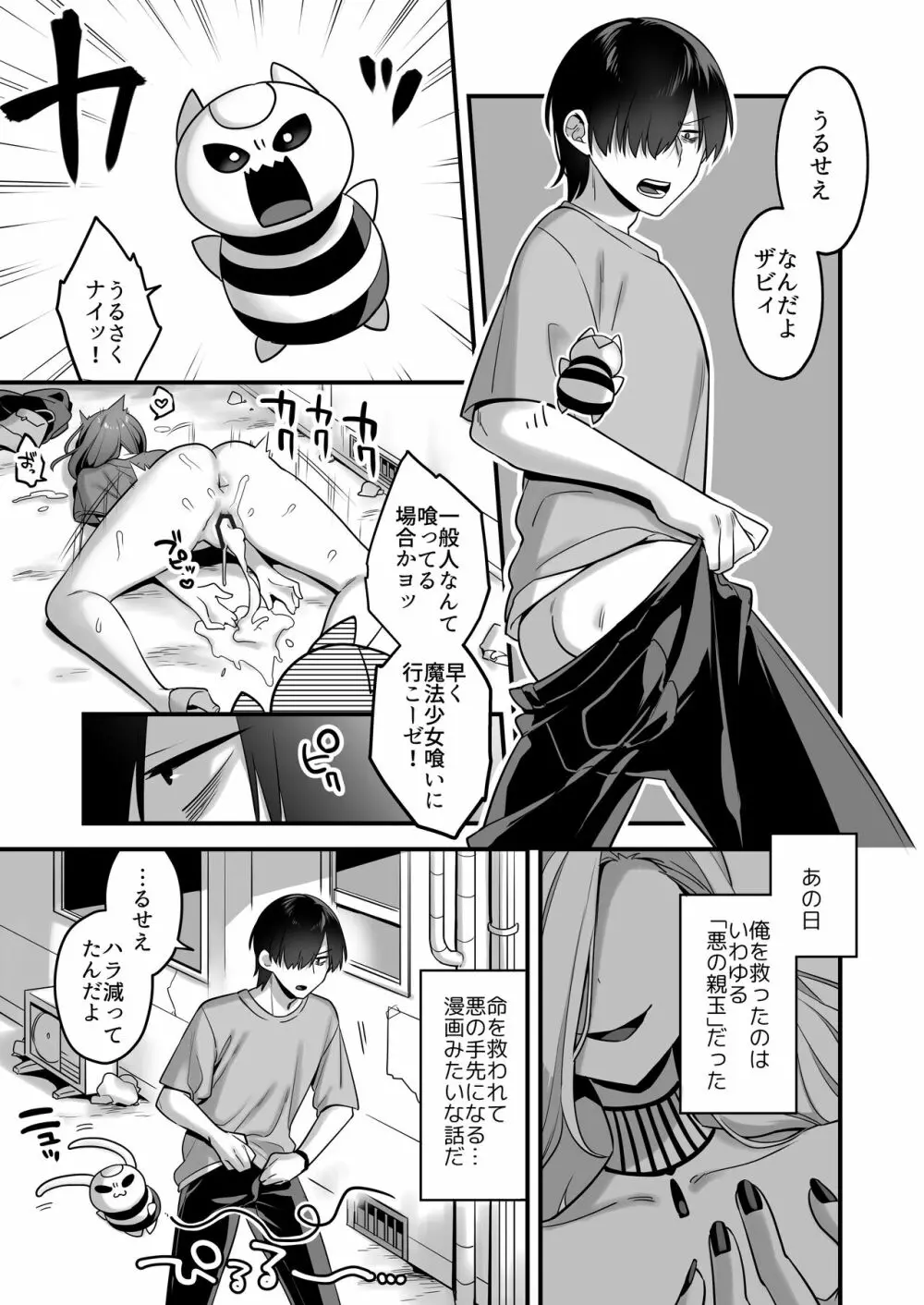 悪の手先になったので。～魔法少女を凌辱します～ - page5