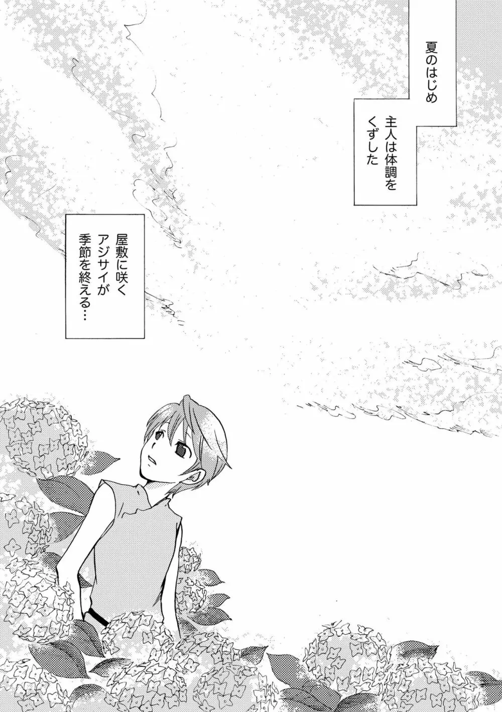 雨の庭 - page27