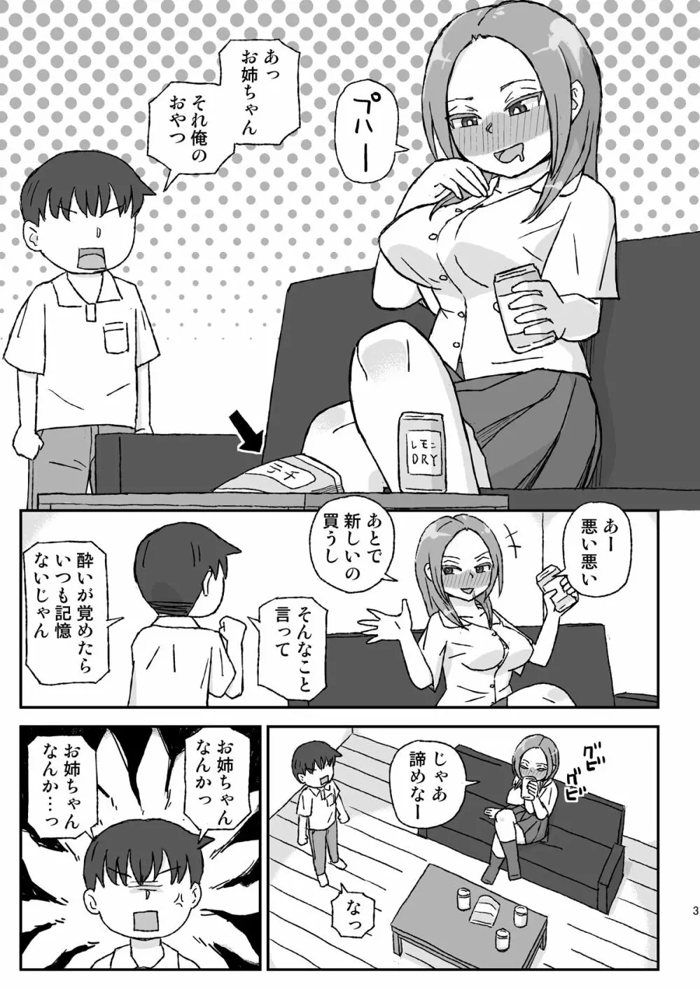 酔ったお姉ちゃんは何をされても記憶にない - page3