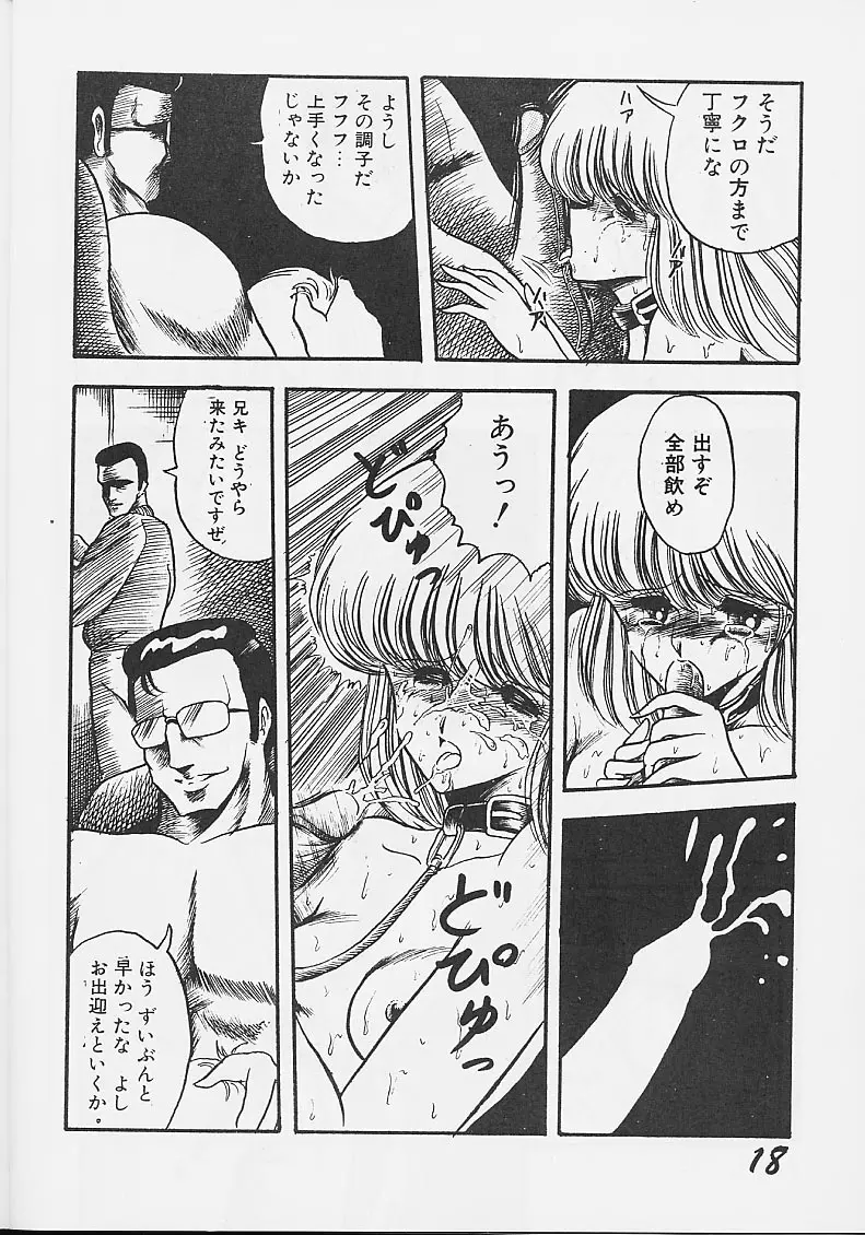 淫辱隷 -婦人警官面妖本「犯姦輪」別冊- - page17