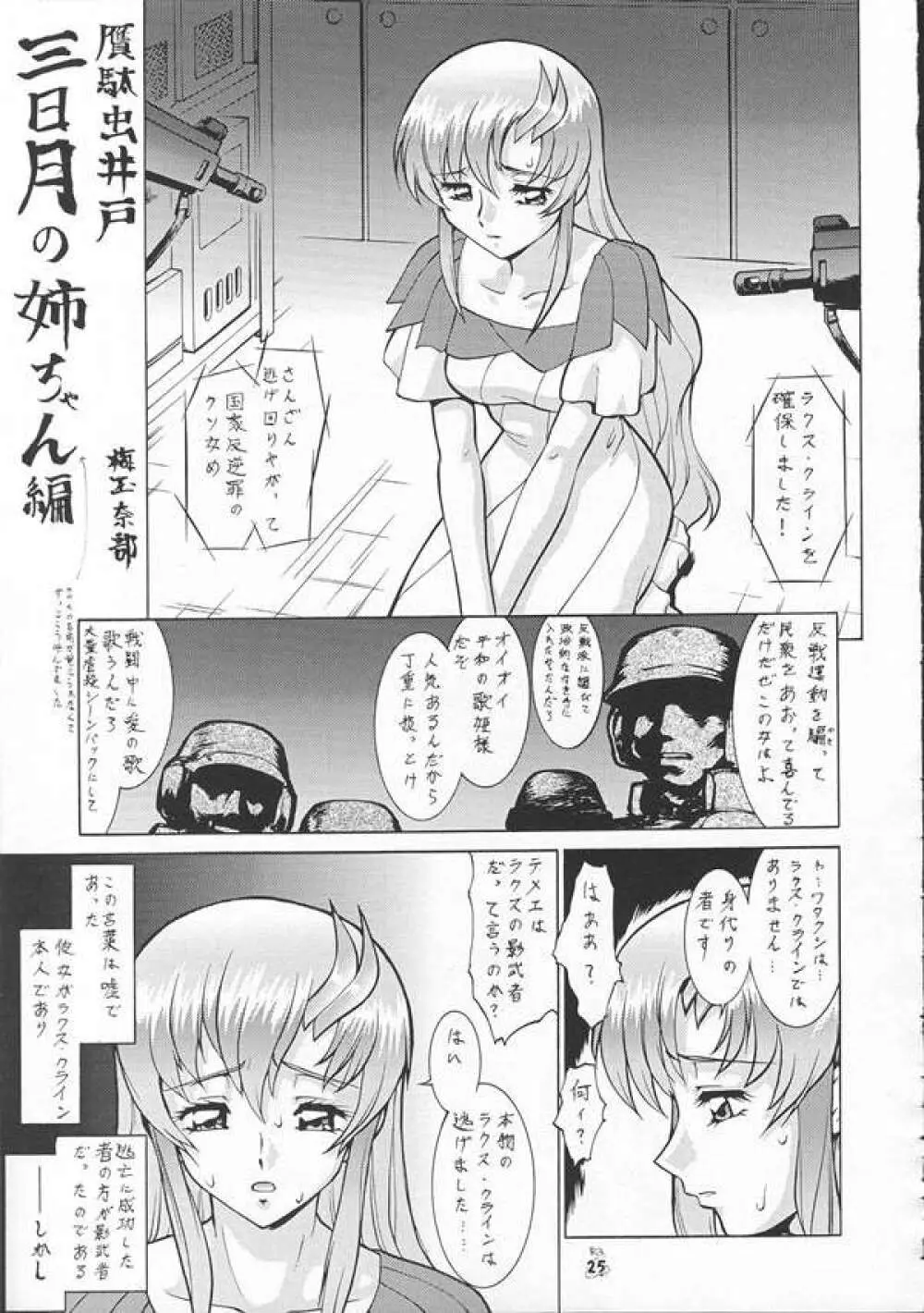 SEEDファンのお姉ちゃんが見たら怒るから見ないで頂戴本2 - page24