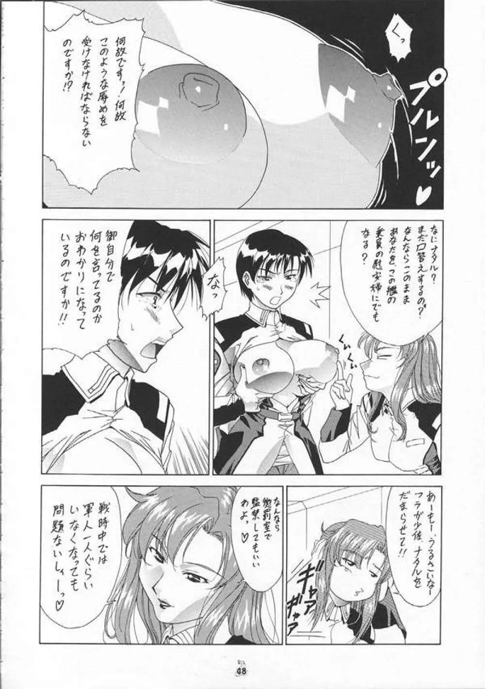 SEEDファンのお姉ちゃんが見たら怒るから見ないで頂戴本2 - page47