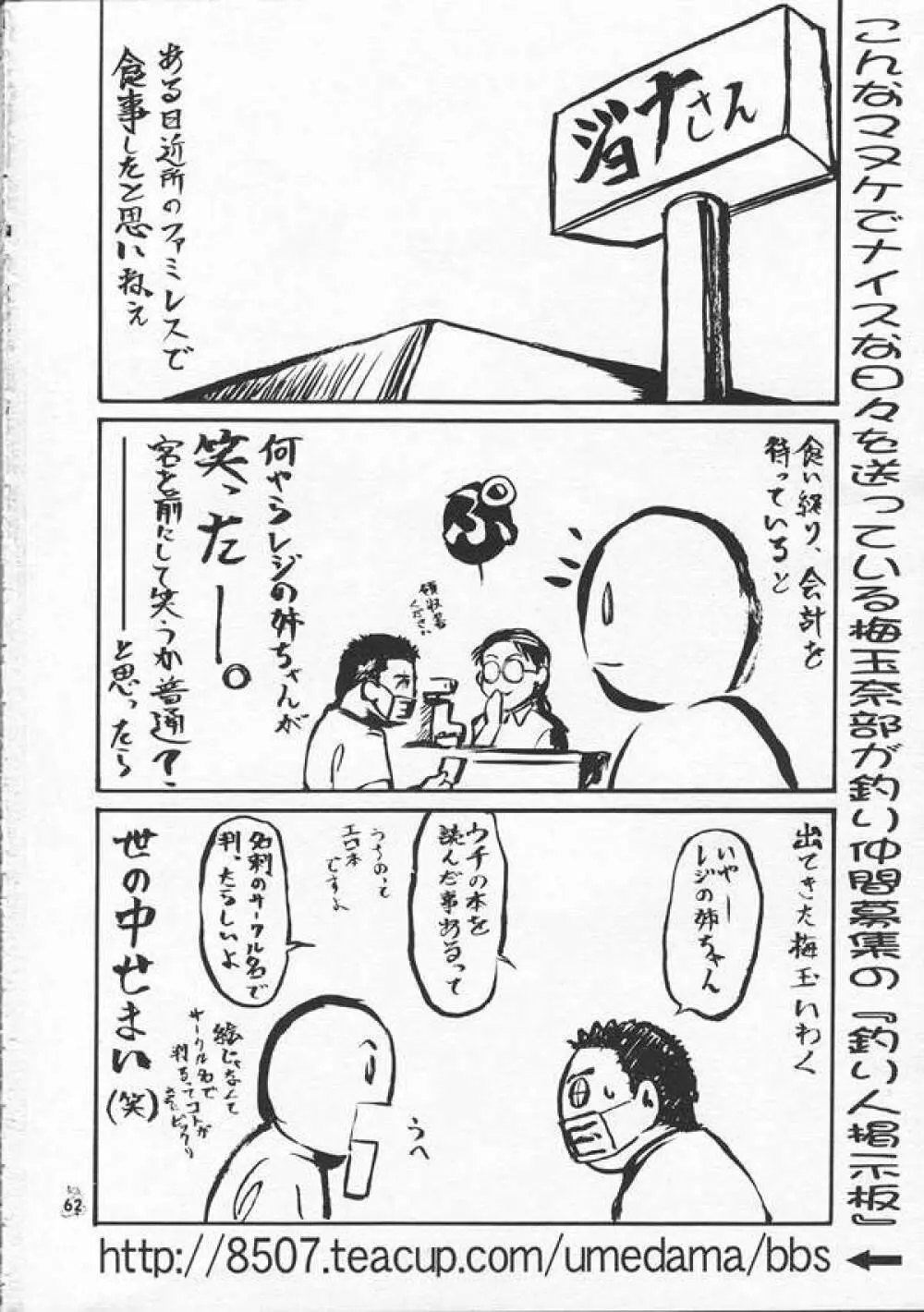 SEEDファンのお姉ちゃんが見たら怒るから見ないで頂戴本2 - page61