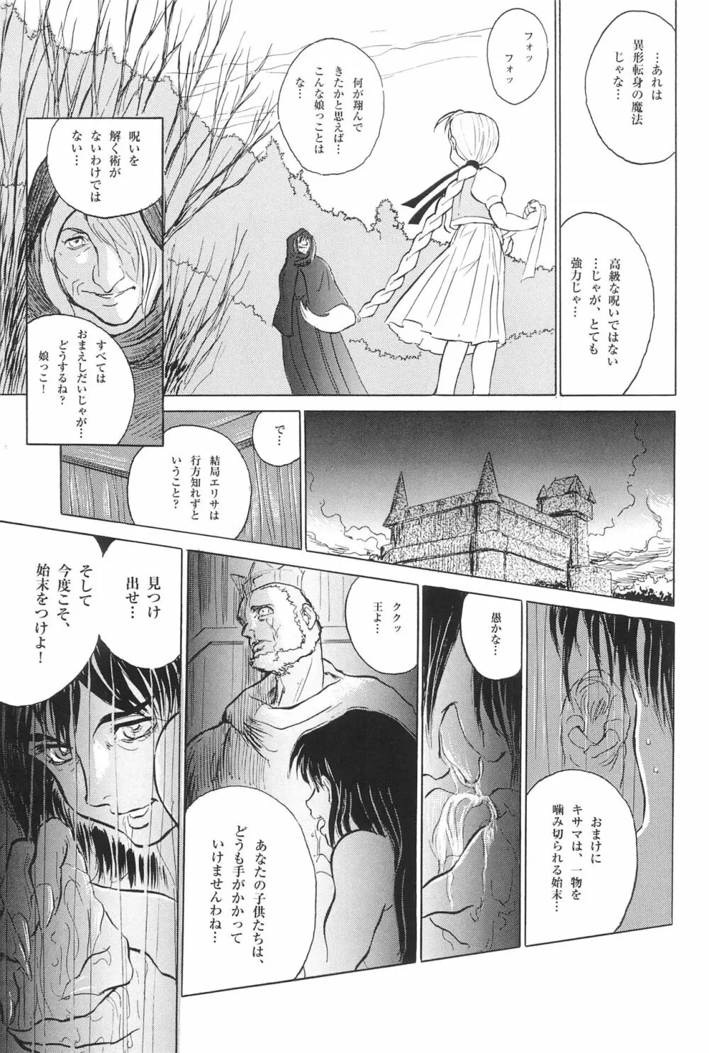 倒錯童話集 6.0 野の白鳥 - page17