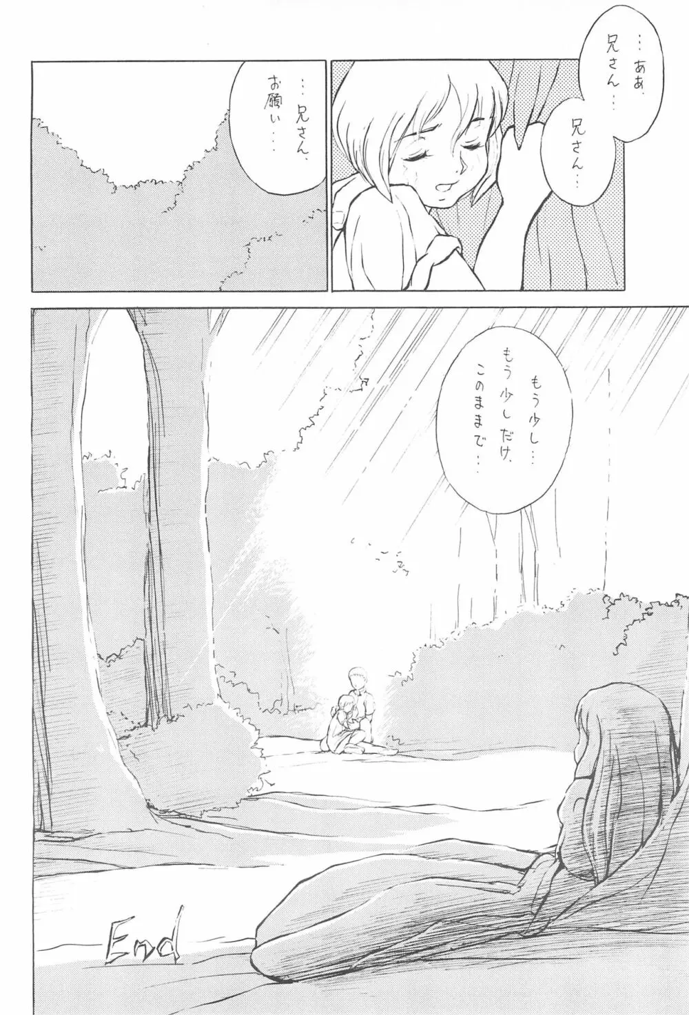 倒錯童話集5.0 兄と妹 - page40