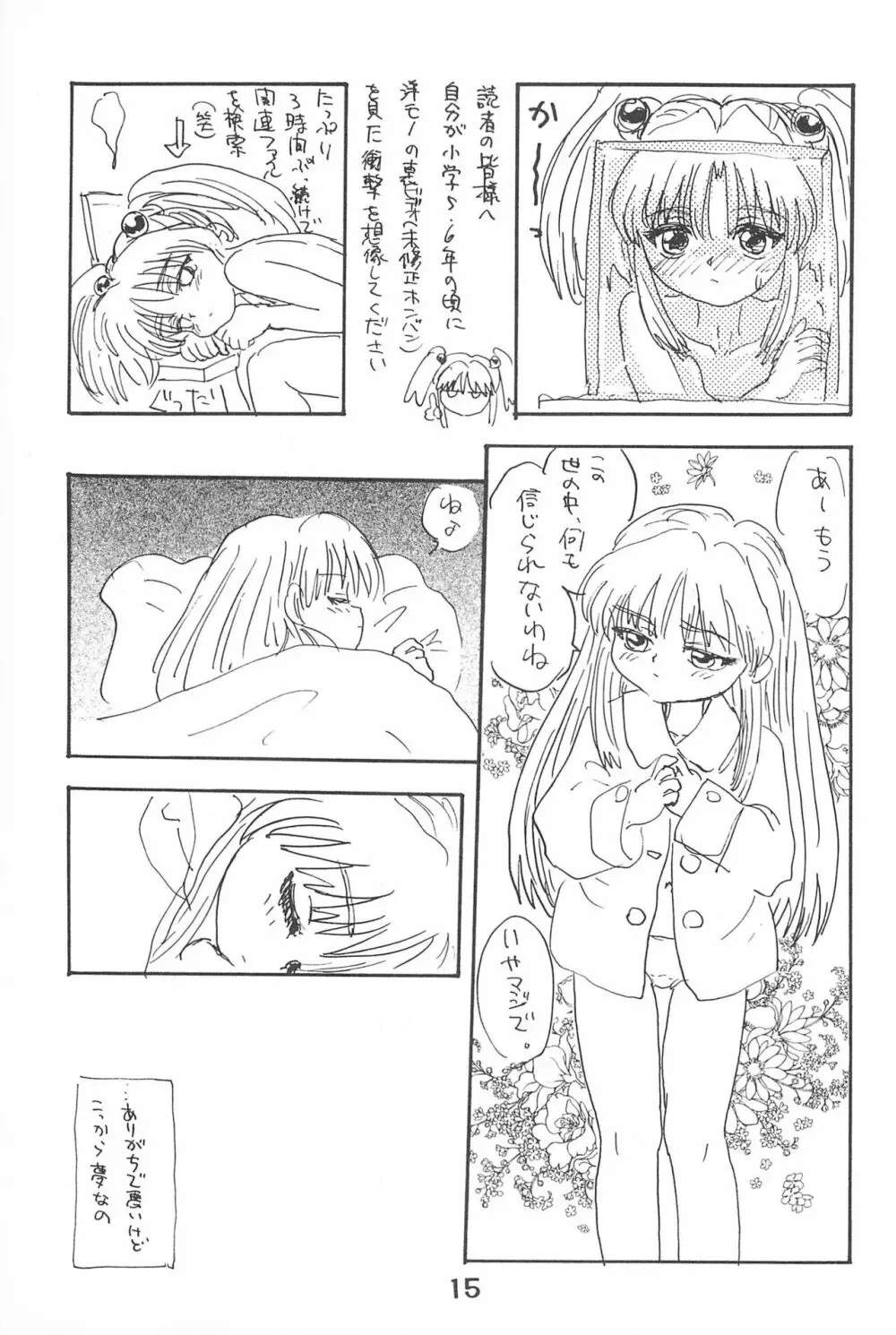 ルリぱち バカっていってルリちゃん 1+2 - page15