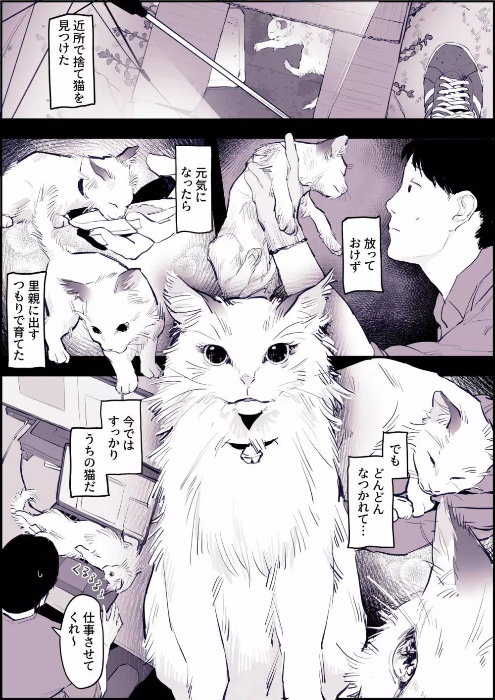 ねこ - page2