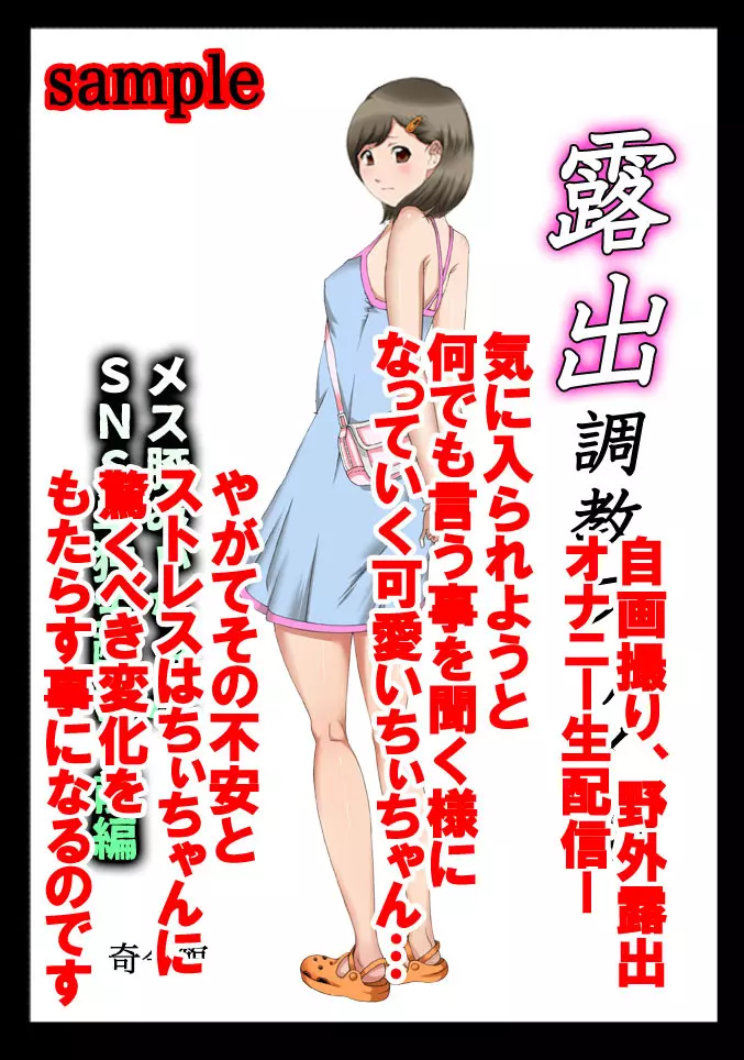 露出調教ファイル メス豚みぃちゃんSNS単独生配信〜前後編パック〜 - page4