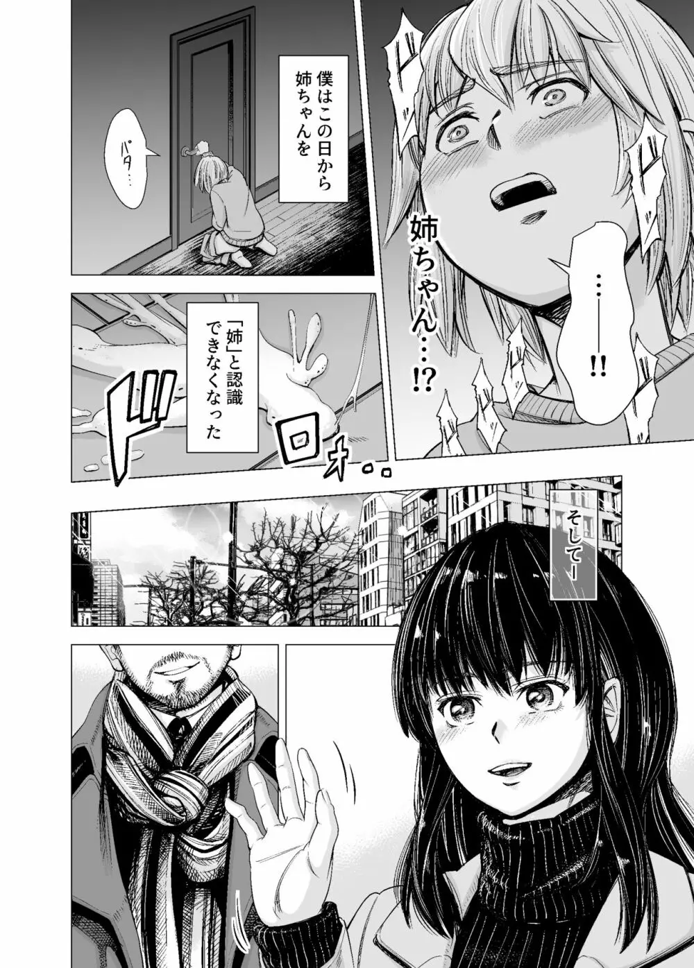 もう、姉として認識できない。 - page13