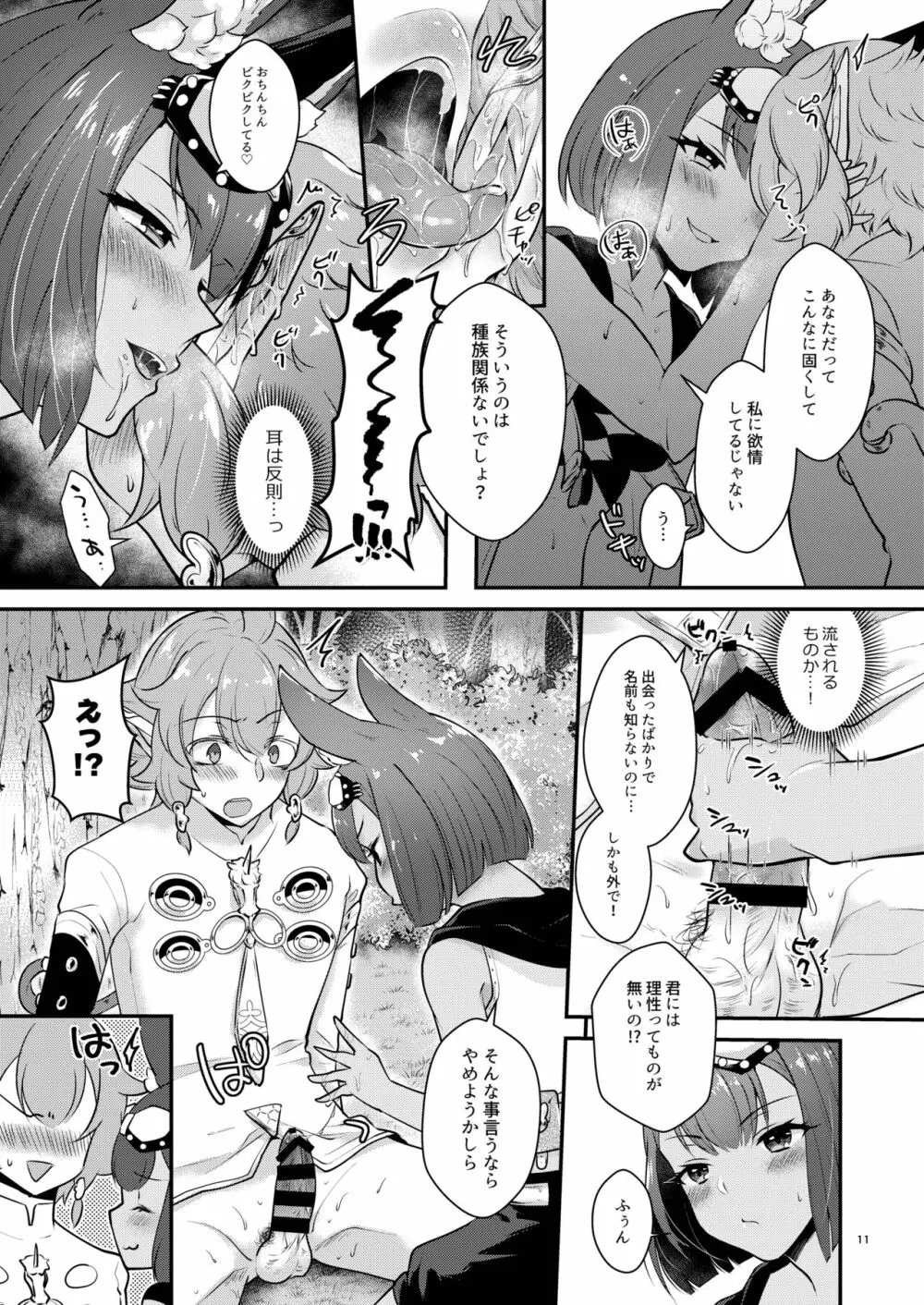 ハウンドちゃんは狩りがしたい。 - page11