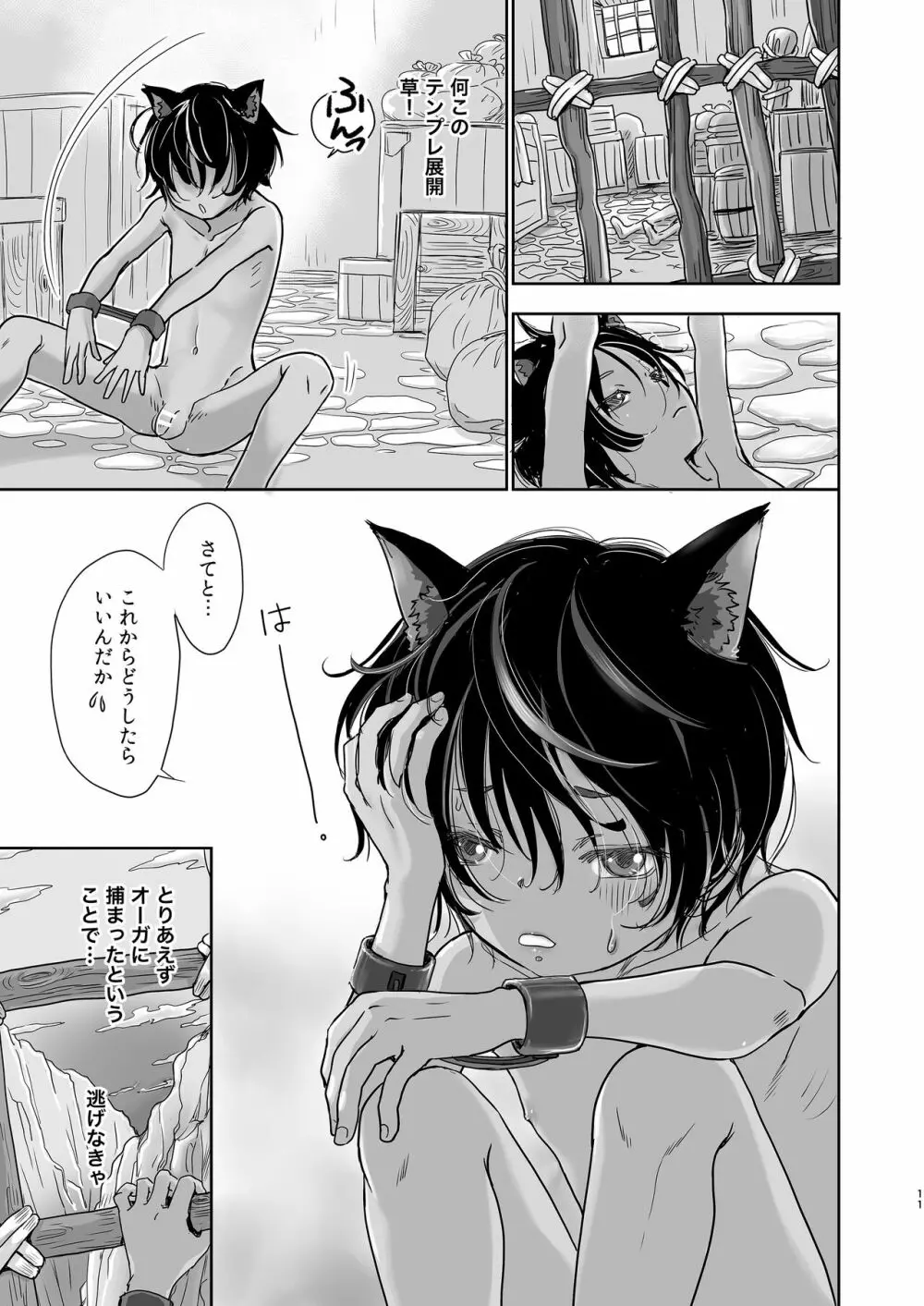 僕、異世界で猫耳性奴隷として隣の国まで旅をしてます。 - page11