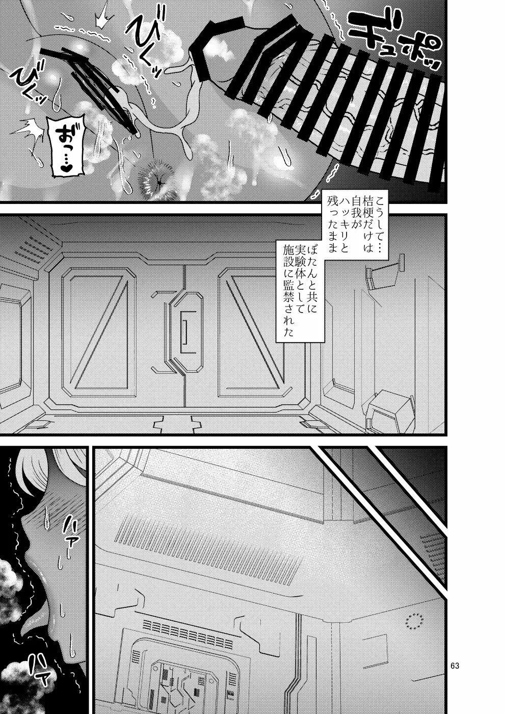 堕散る華 牡丹と桔梗編 弐 - page63