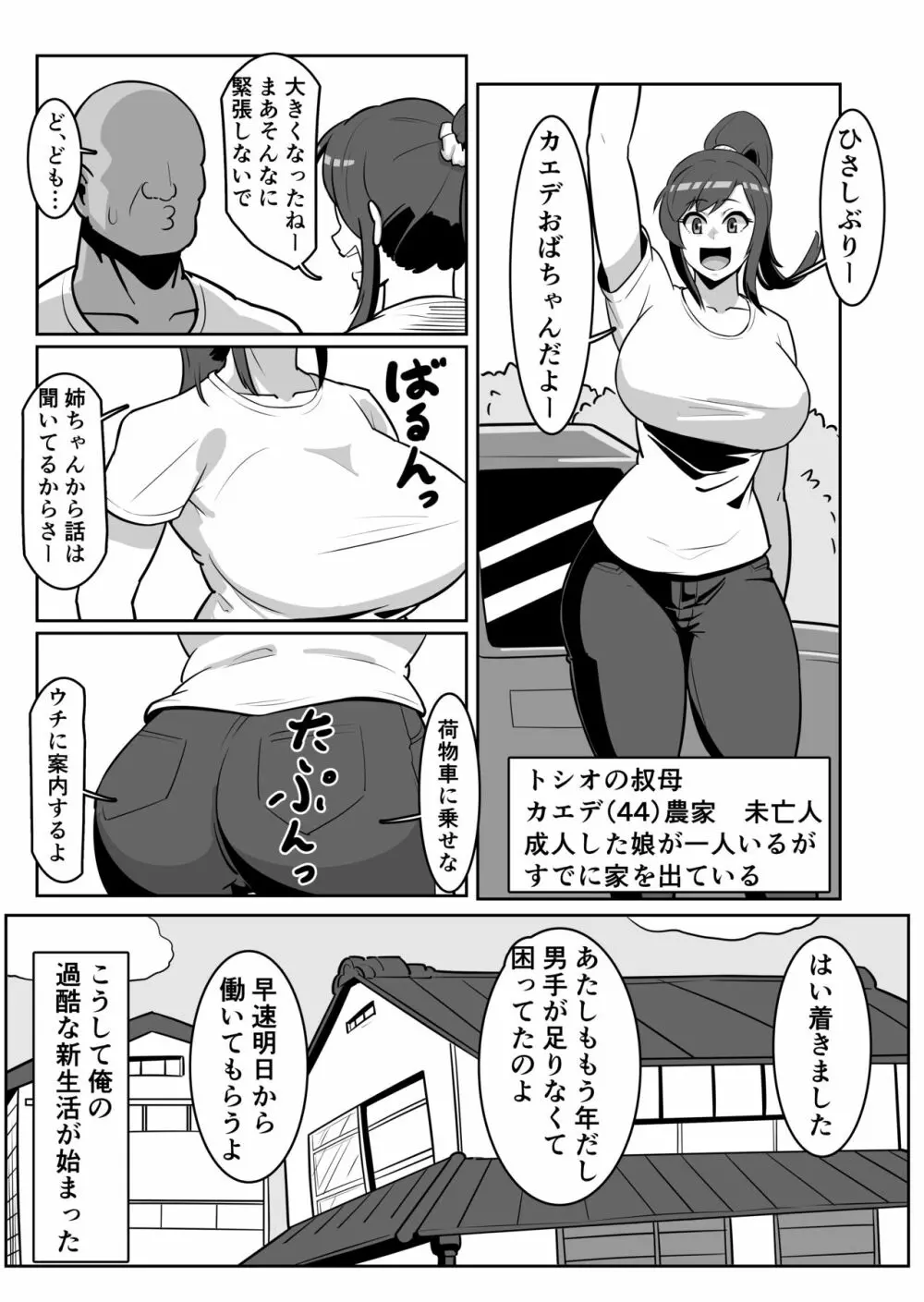 ボテおばっ 〜居候先の叔母さんを孕ませてボテ腹セックス三昧！〜 - page5