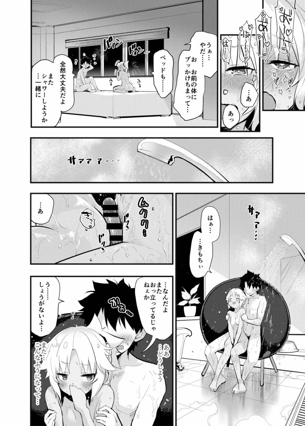 WILD HONEY:霊基可逆的変換型仮説 - page21