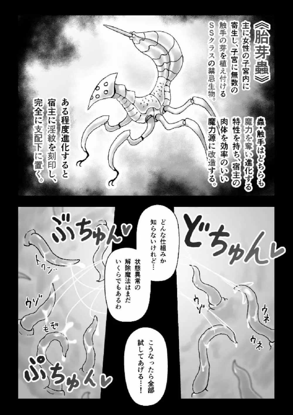 魔女が触手と蟲に寄生されて子宮と人生をめちゃくちゃにされる話 - page10