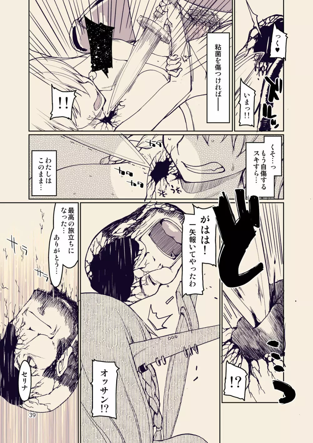 ドスケベエルフの異種姦日記 10 - page40