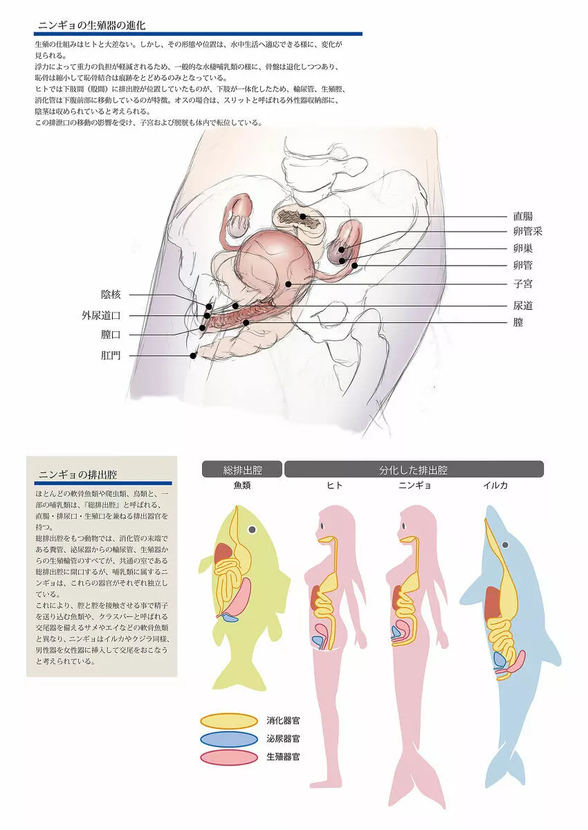 ビッチマーメイド 01-17 - page30