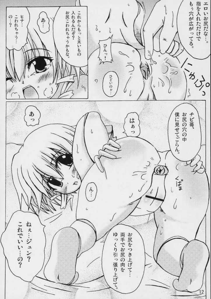 - そうやって雛は微笑む - page11