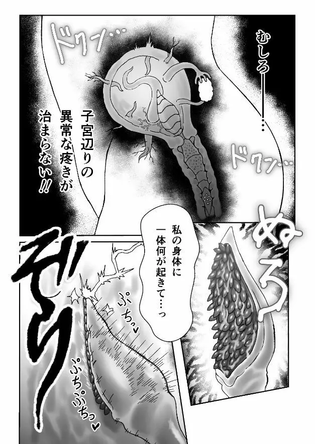 魔女が触手と蟲に寄生されて子宮と人生をめちゃくちゃにされる話 - page13