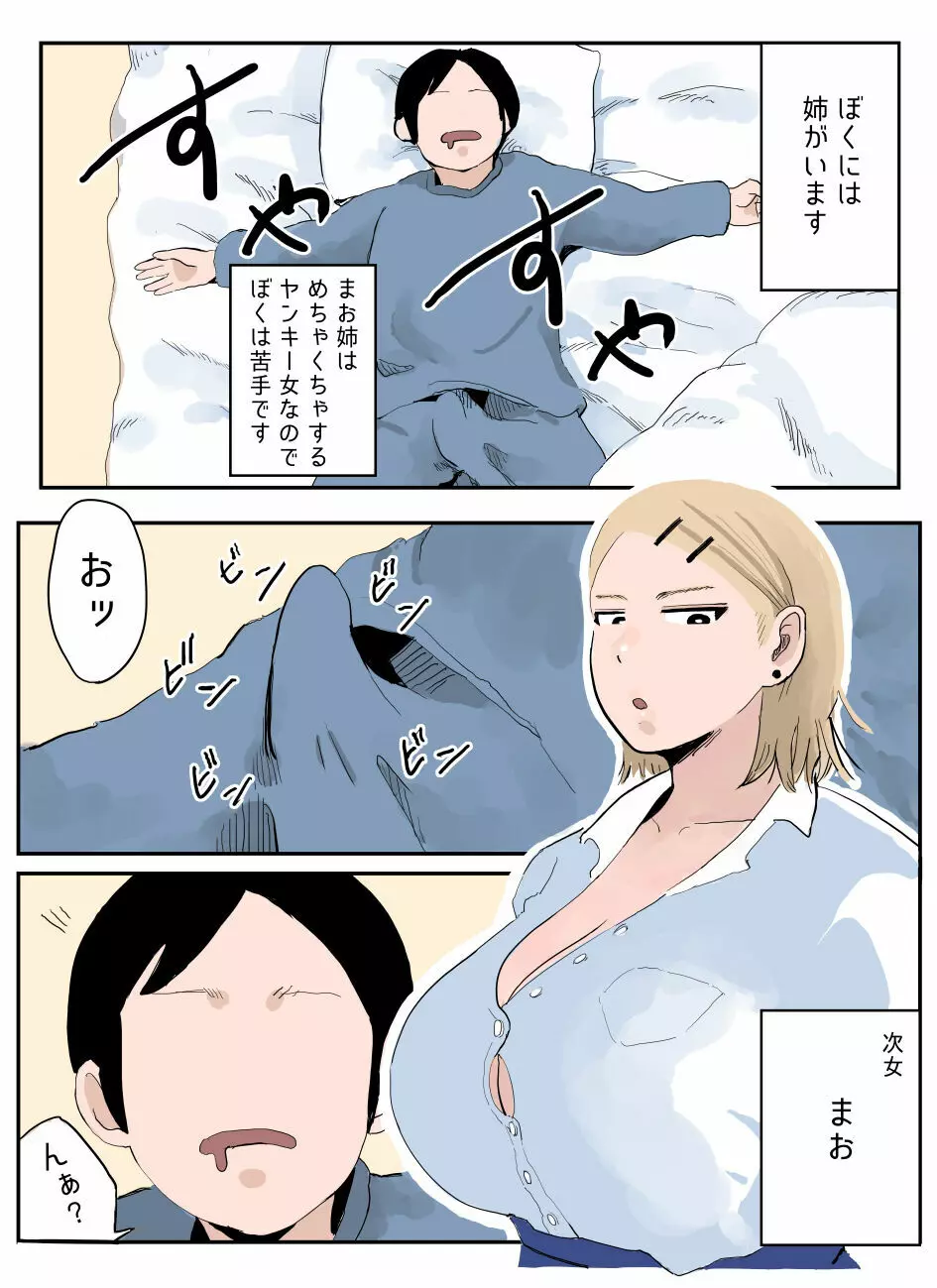 ぼくには姉がいます～まじめ長女と次女ヤンキー～ - page12