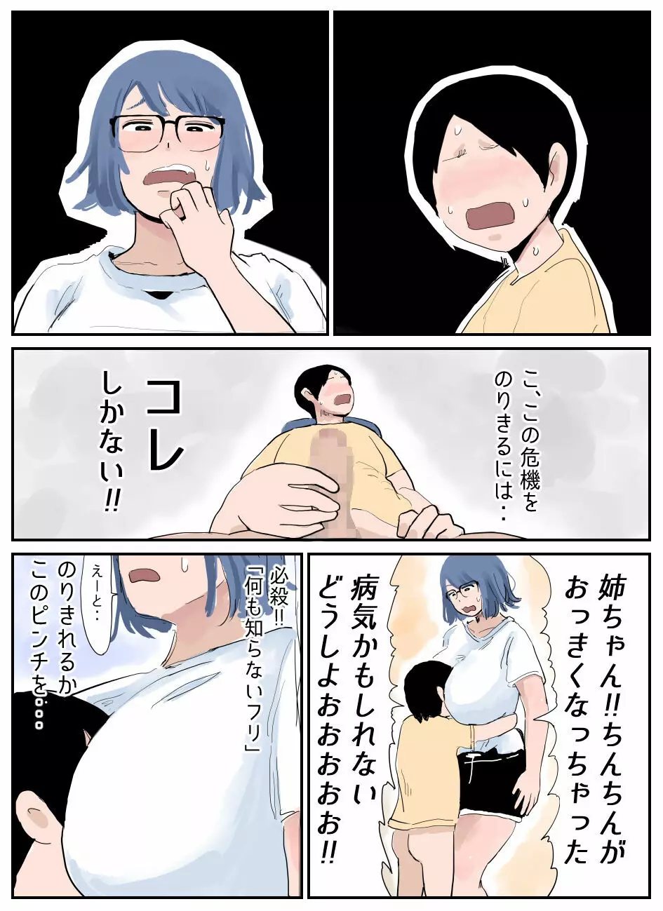 ぼくには姉がいます～まじめ長女と次女ヤンキー～ - page3