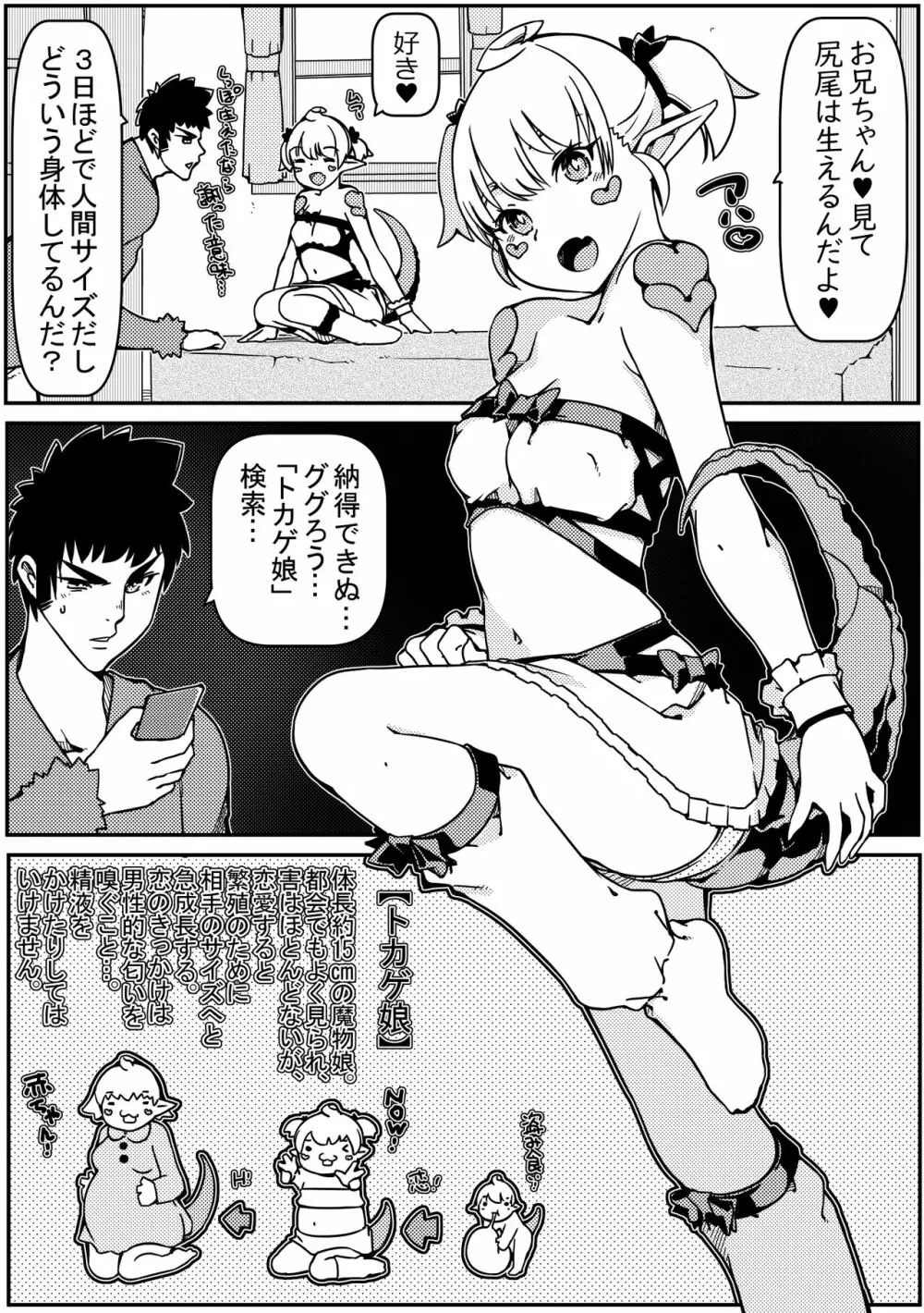 トカゲ娘の尻尾を切ってしまったら嫁になった - page8