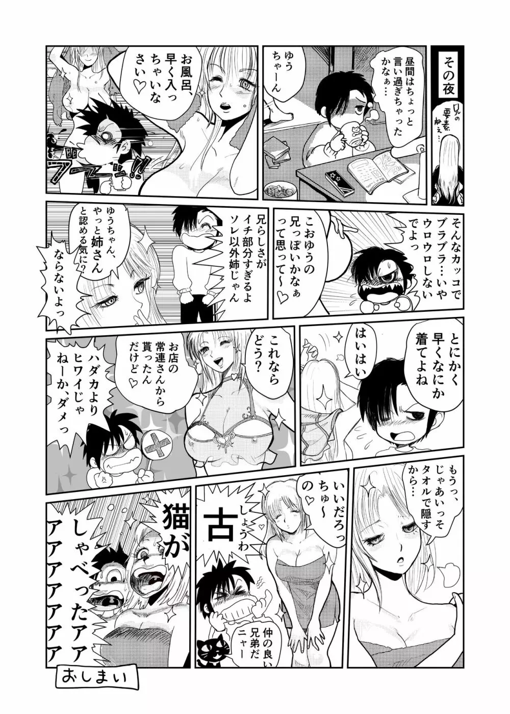 シーメール&メス男子合同誌 C's HAVEN3 竿 - page227