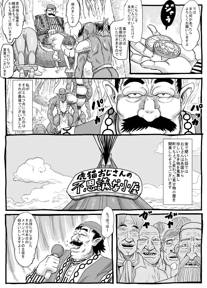 エルフの帰り道 - page31