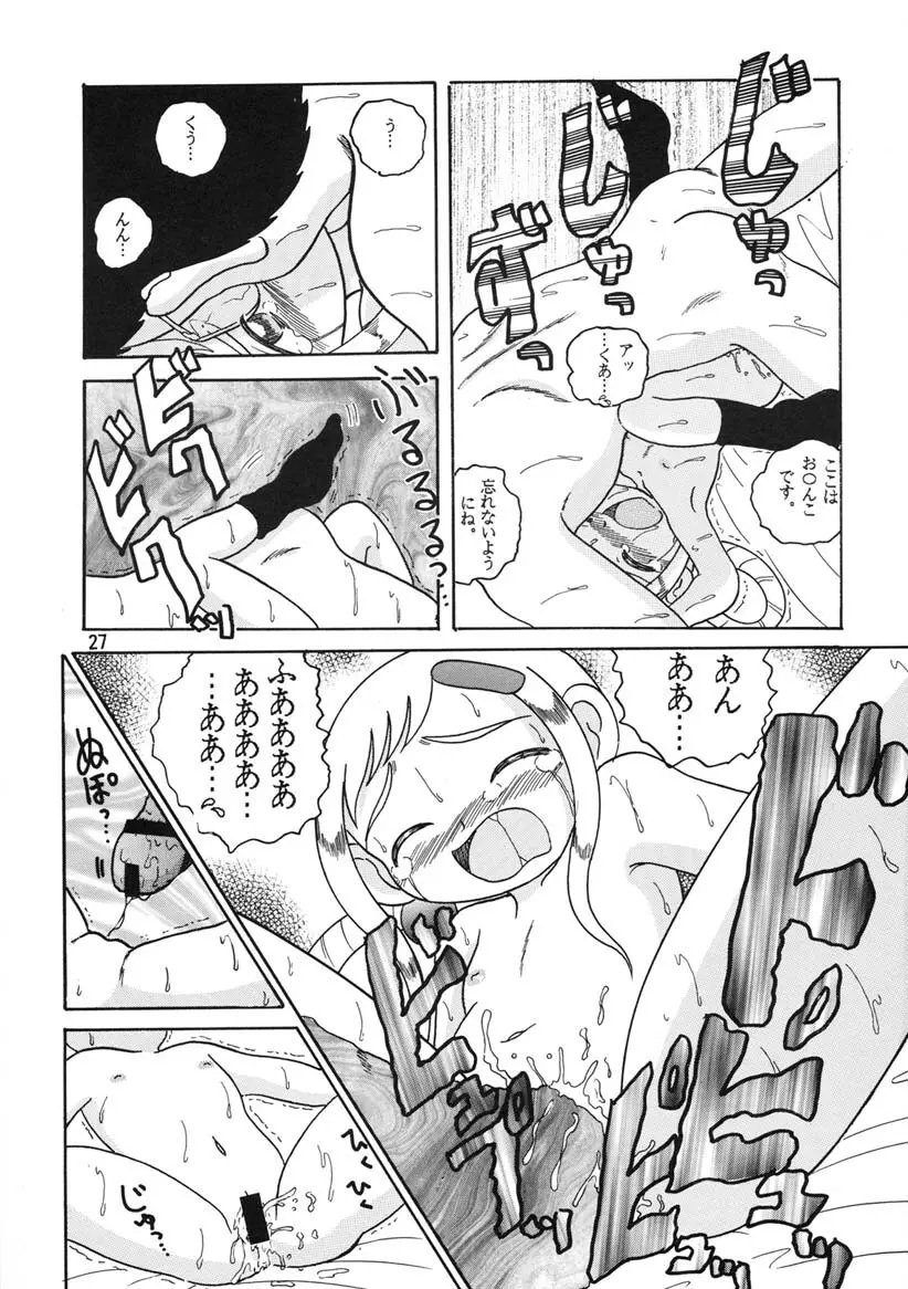 HI-PHS Ⅴ - page26