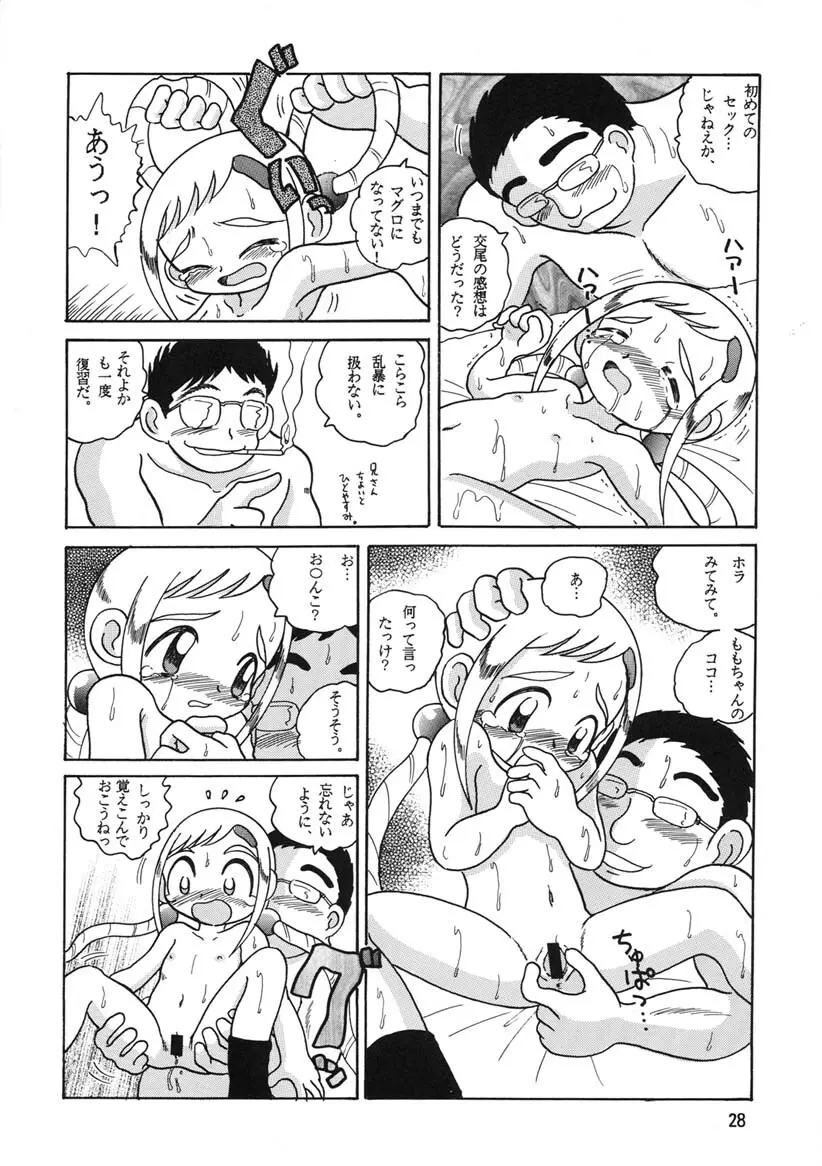 HI-PHS Ⅴ - page27