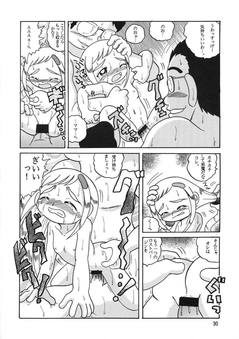 HI-PHS Ⅴ - page29