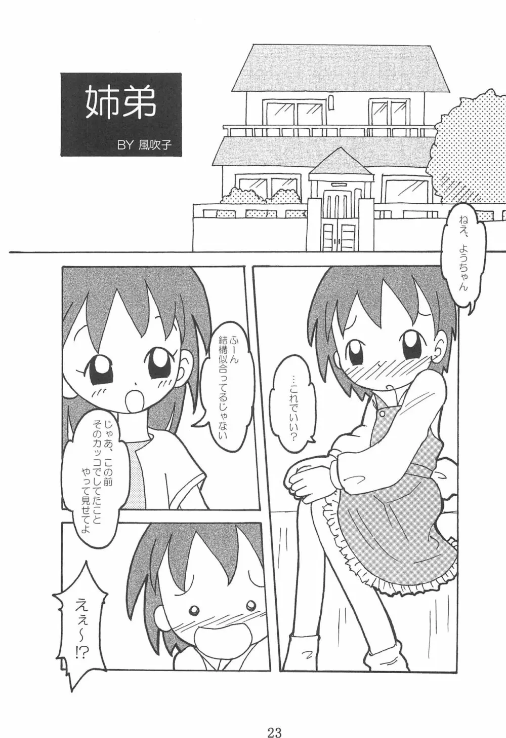 私のお姫様 - page23