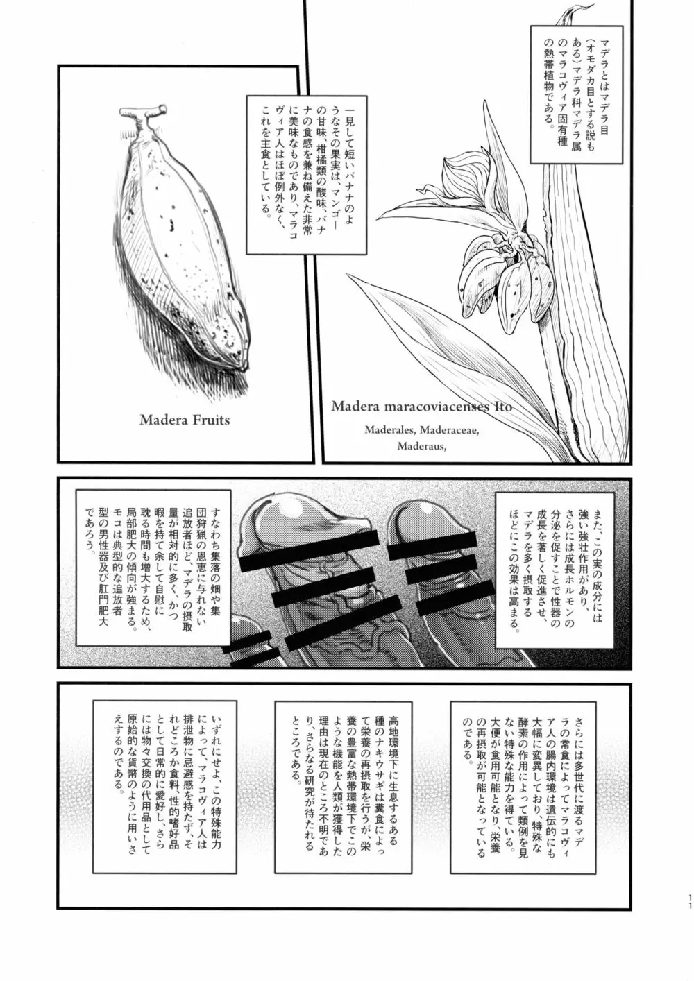 男根のエスノグラフィ ─マラコヴィアの性と排泄─ - page10