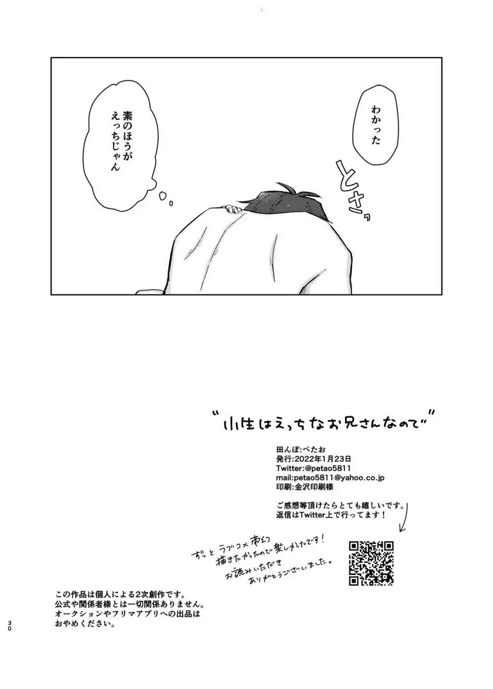 小生はえっちなお兄さんなので - page29